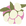 jojoba oil icon_original artwork_ modern art