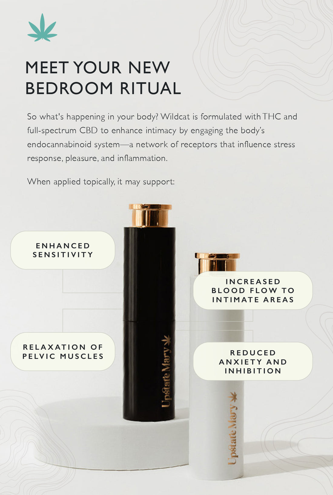 Wildcat Cannabis-Infused Sex Oil - Upstate Mary