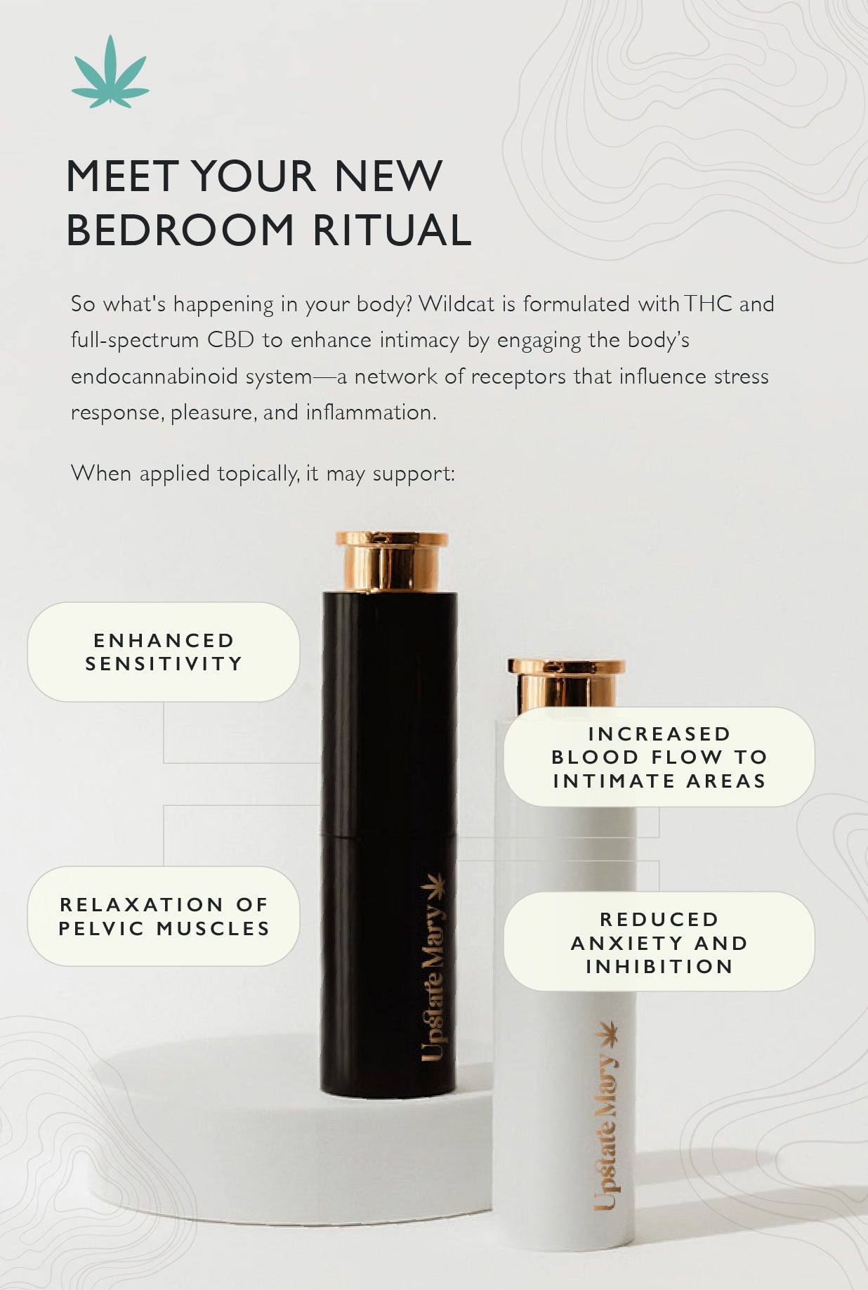 Wildcat Cannabis-Infused Sex Oil - Upstate Mary